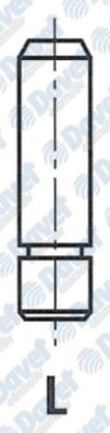 OZGAYD VG2811 Subap Gaydi Tk (10x6x49) Ducato 2.3mtj 3.0mtj 16v (Pik Dokum)